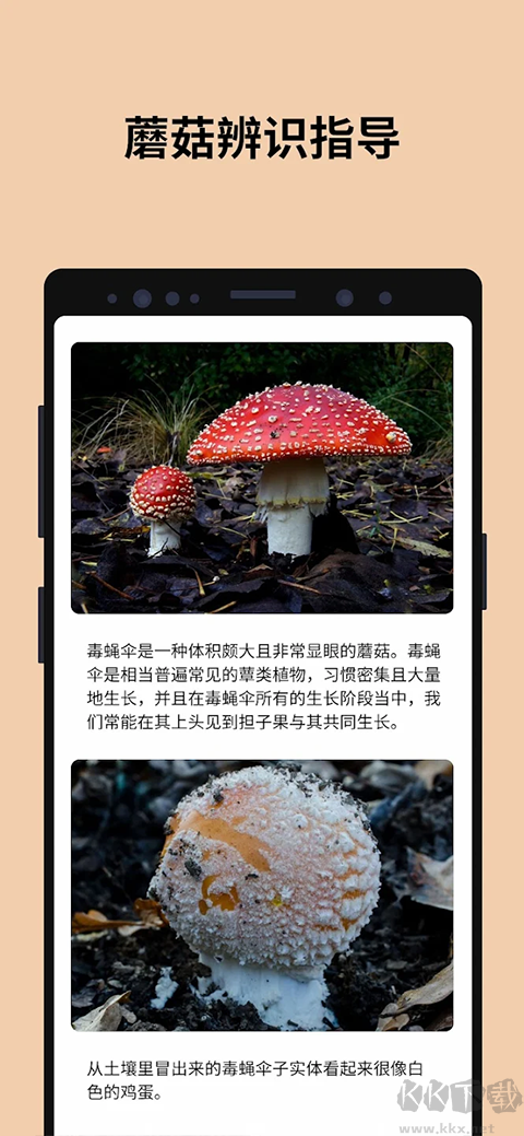 蘑菇识别扫一扫(Picture Mushroom)