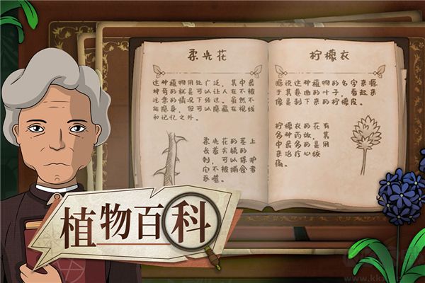 奇异园艺