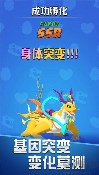 育龙达人