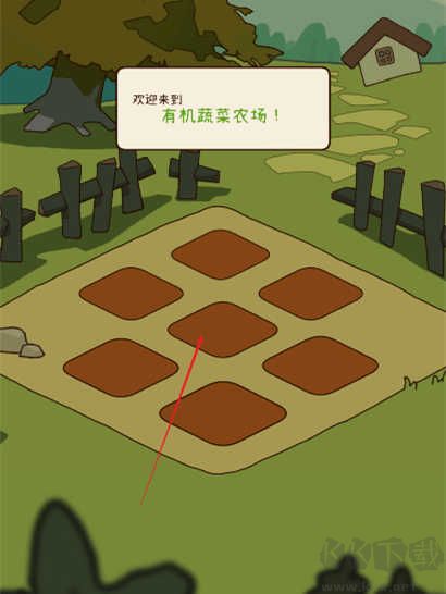 有机蔬菜农场