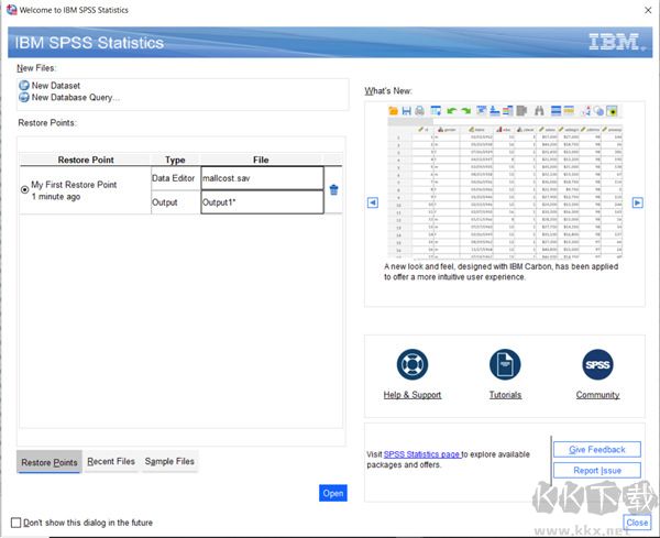 IBM SPSS Statistics 27(数据分析)
