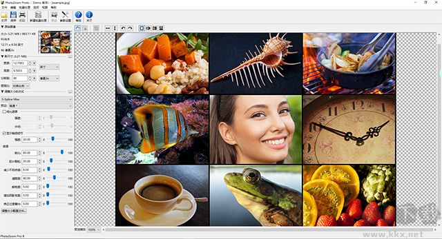 photozoom pro9