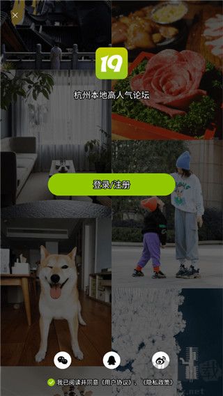 19楼app