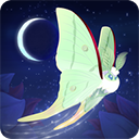 彩翼之星夜(Starlight)v2.242国际版
