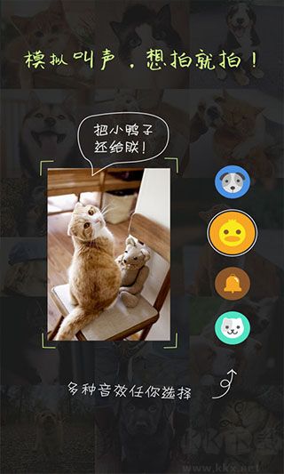萌宠相机
