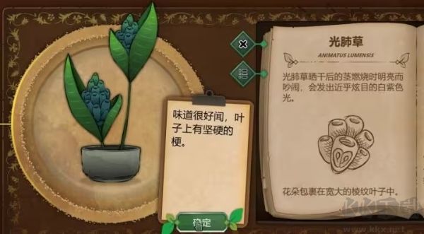 奇异园艺