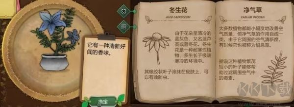 奇异园艺
