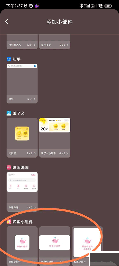 鲸鱼小组件