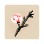 冬蜃楼 v1.0.4安卓版