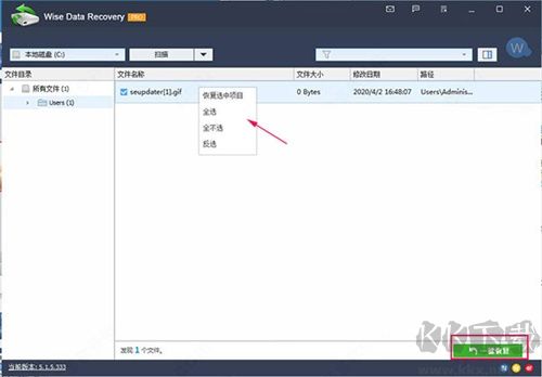 Wise Data Recovery(数据恢复工具)