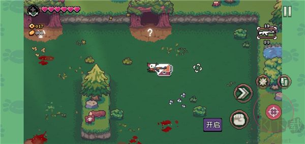 AK蝾螈