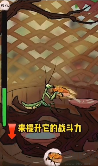 极品螳螂