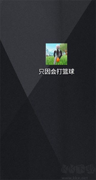 只因会打篮球
