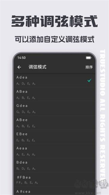 琵琶调音大师