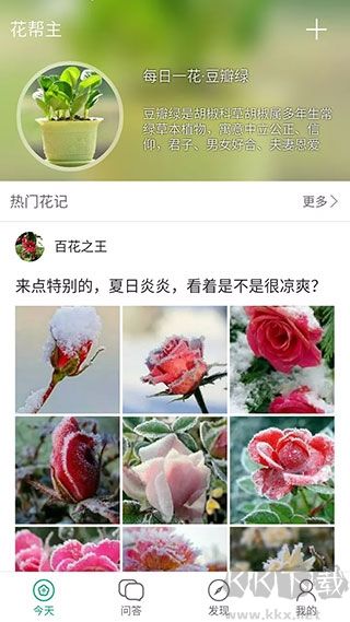 花帮主