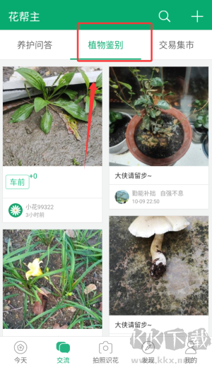 花帮主