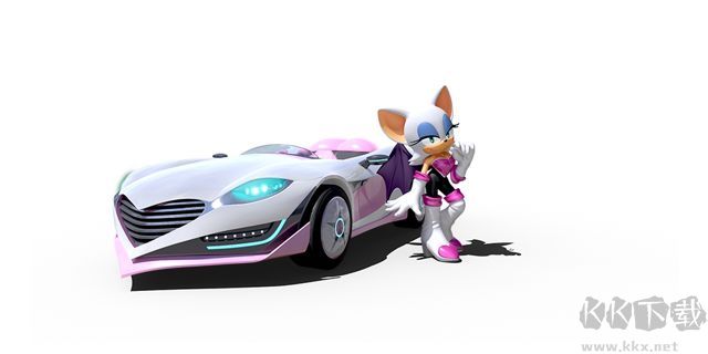 团队索尼克赛车