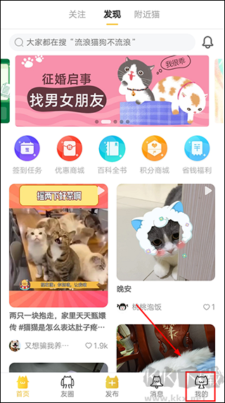 友猫app
