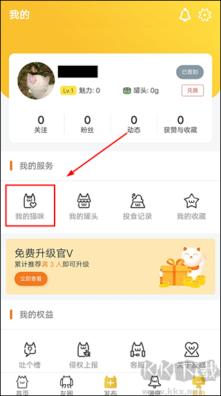 友猫app