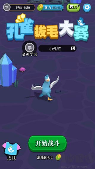 孔雀拔毛大赛
