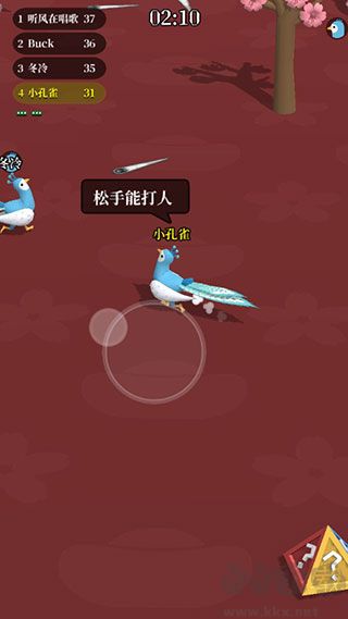 孔雀拔毛大赛