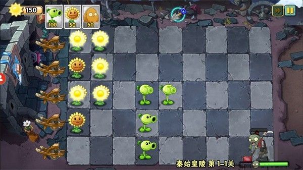 植物大战僵尸