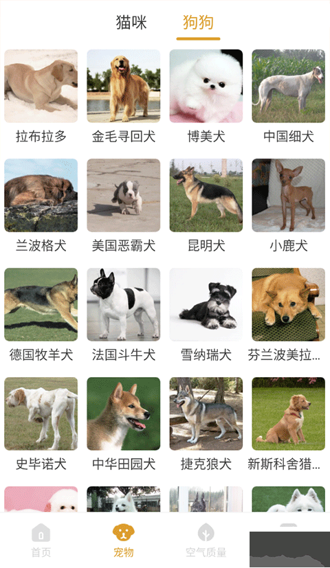 韶光相机