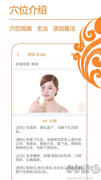 经络养生