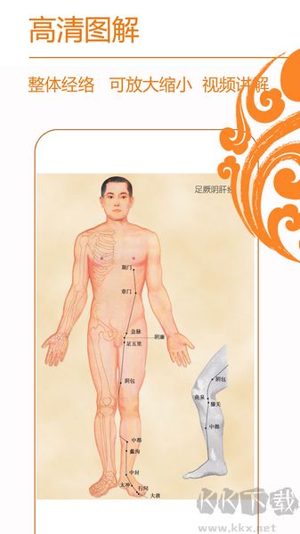 经络养生