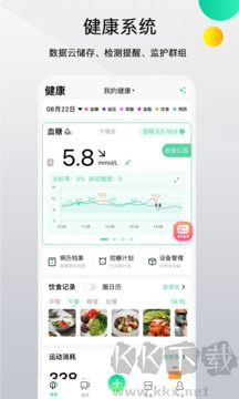 先锋鸟