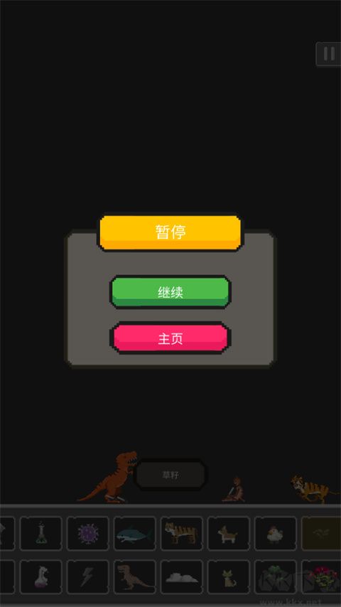 菠萝游乐场