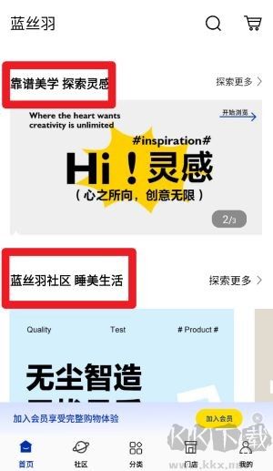 蓝丝羽