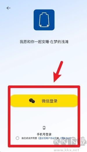 蓝丝羽