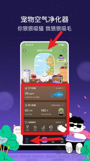 家超
