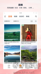 全民动动