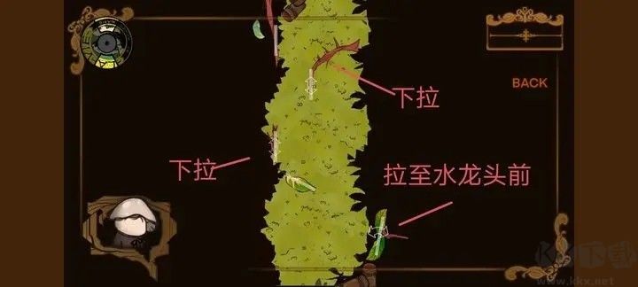 Vein