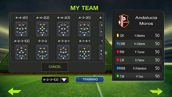 终极足球(Ultimate Soccer)