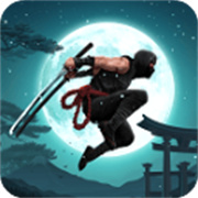 忍者战士2 v1.100最新版