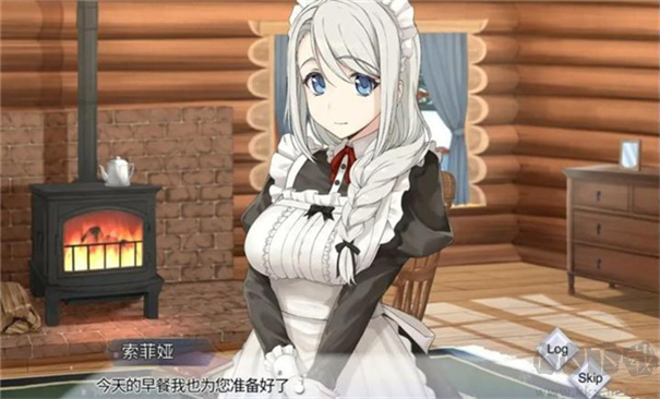 我与索菲亚的秘密