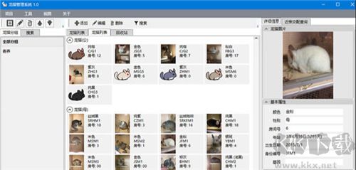 龙猫管理系统