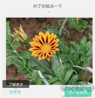 形色