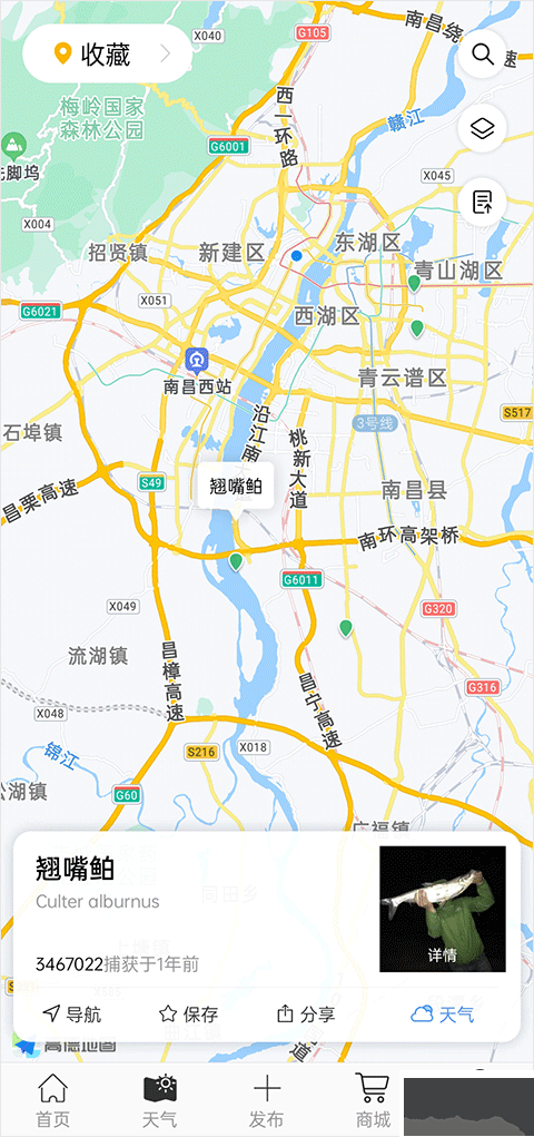 渔获