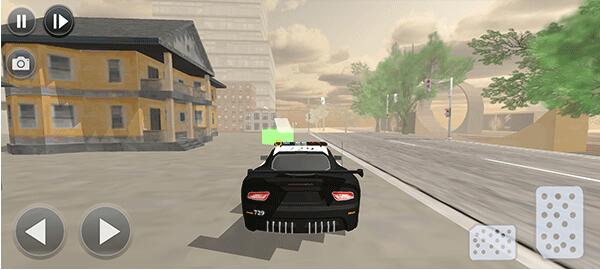 边境警察模拟器