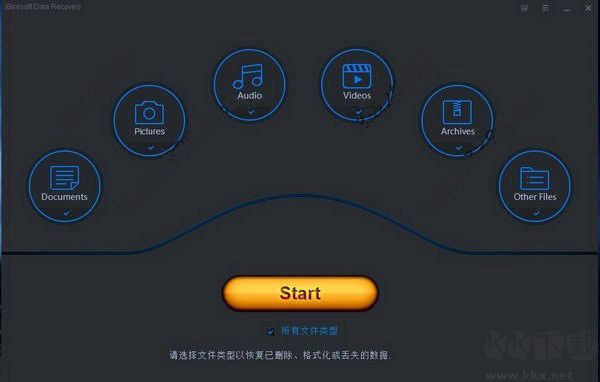 iBeesoft Data Recovery(数据恢复软件)