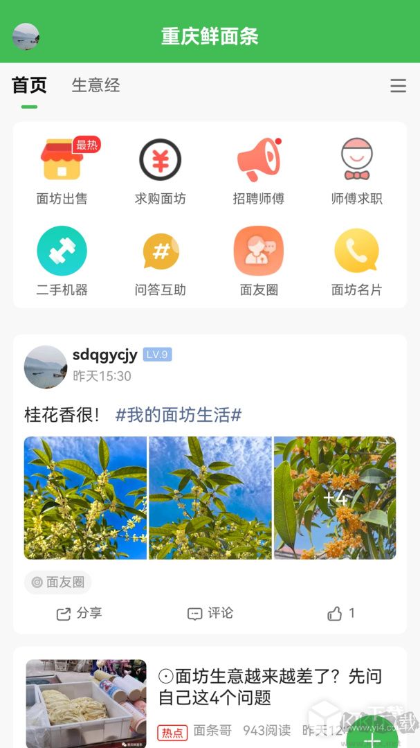 重庆鲜面条