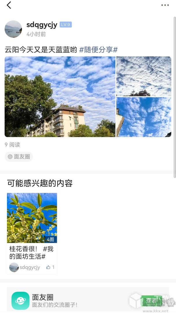 重庆鲜面条