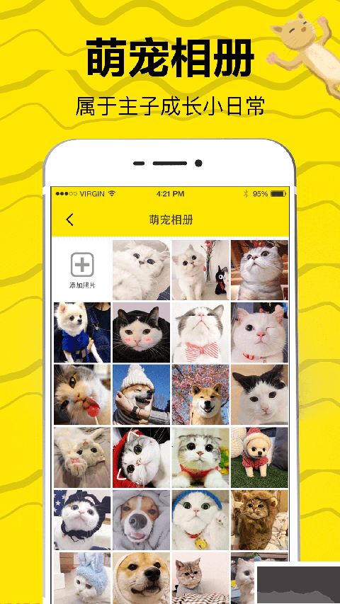 猫语翻译