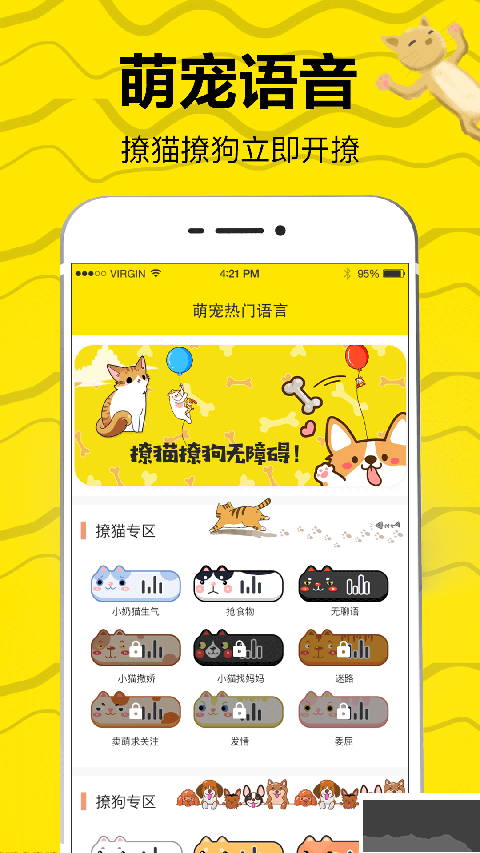 猫语翻译