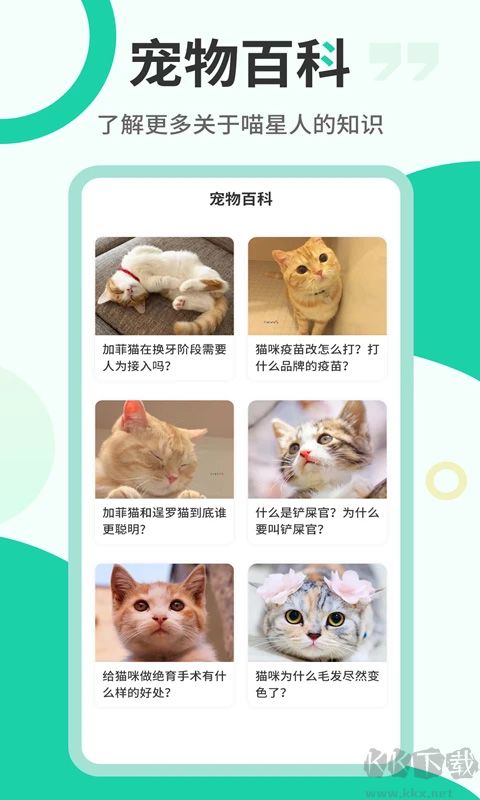 猫语翻译机