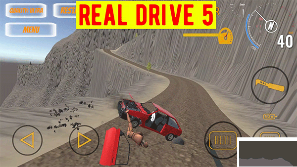 真正的驱动器5(Real Drive 5)